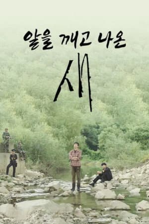 알을 깨고 나온 새