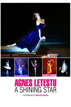 Agnès Letestu: L'apogée d'une étoile