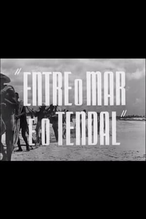 Entre o Mar e o Tendal