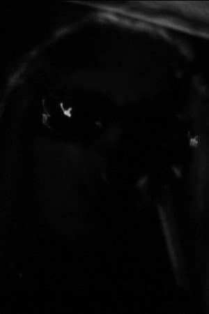One Roll in the Blackness