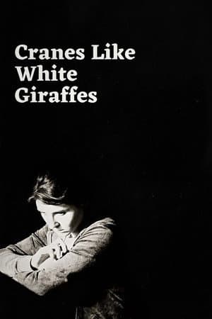 Cranes Like White Giraffes