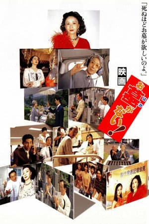 お墓がない!