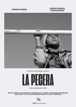 La Pecera