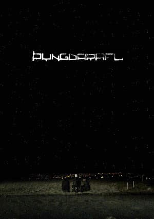 Þyngdarafl
