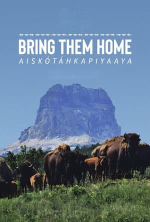 Aiskótáhkapiyaaya