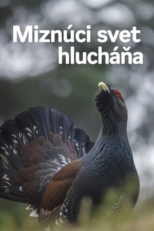Miznúci svet hlucháňa