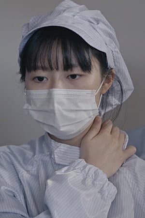 벌레