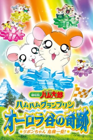 劇場版 とっとこハム太郎 ハムハムグランプリン オーロラ谷の奇跡 ~リボンちゃん危機一髪!~