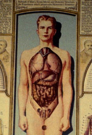 Natural History