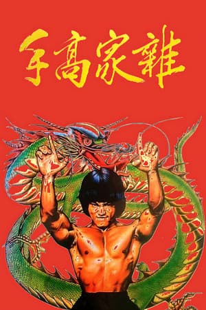 雜家高手