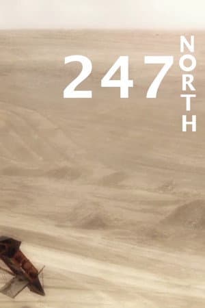 247 Degrees North