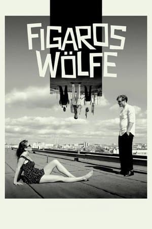 Figaros Wölfe