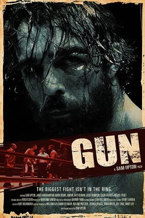 12 Round Gun