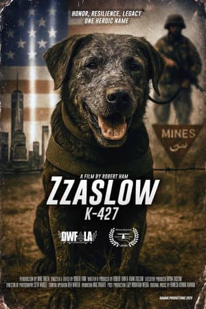 Zzaslow K-427