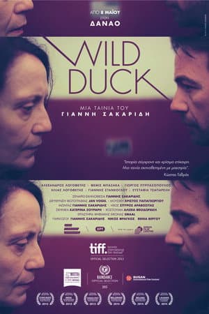 Wild Duck