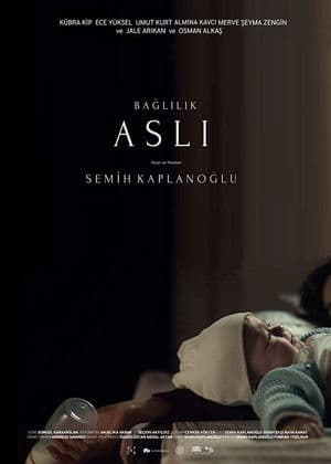 Bağlılık Aslı