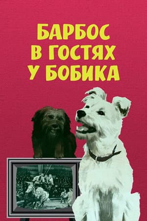 Барбос у гостях у Бобика