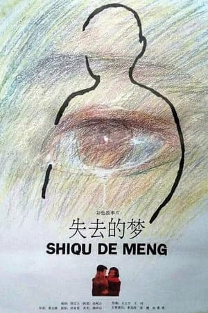 失去的梦