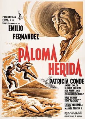 Paloma herida