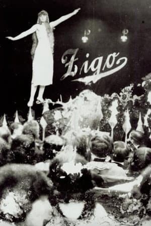 Zigo