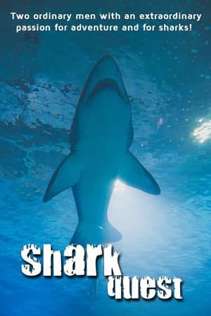 Shark Quest