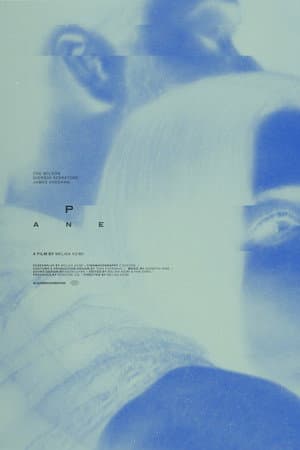Pane