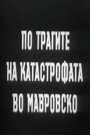 По трагите на катастрофата во Мавровско