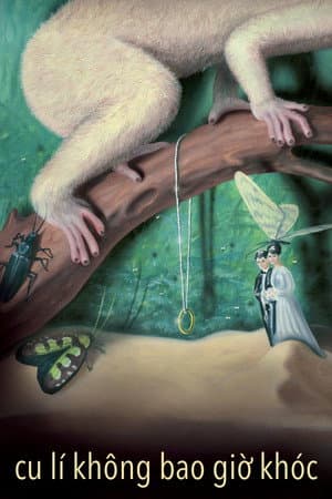 Cu li không bao giờ khóc
