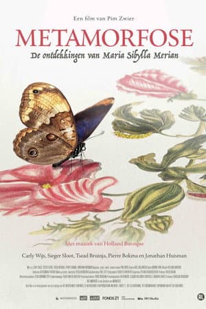Metamorfose