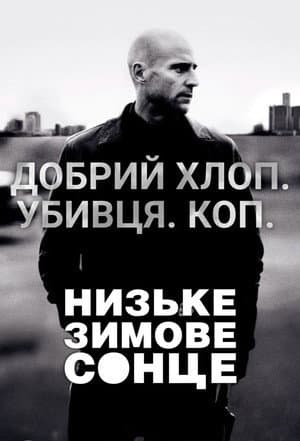 Низьке зимове сонце
