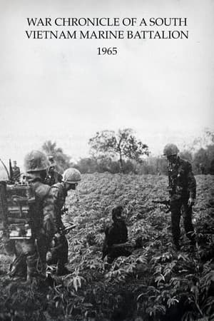 南ベトナム海兵大隊戦記