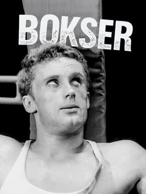 Bokser