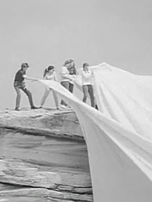Operation Wrap Up: Christo In Australia