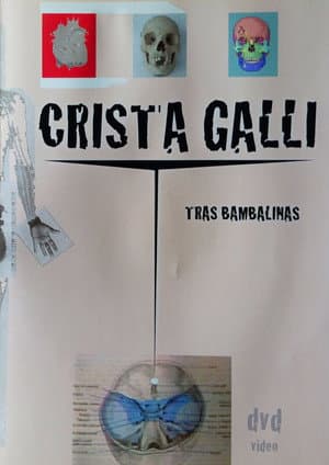 Crista Galli: Tras Bambalinas