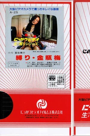 小川亜佐美の　縛り・金瓶梅
