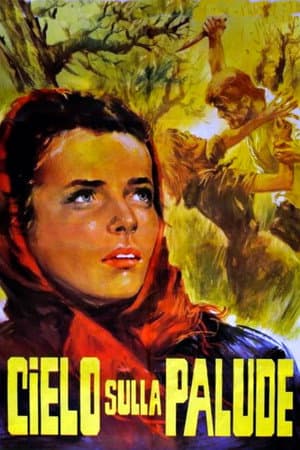Cielo sulla palude