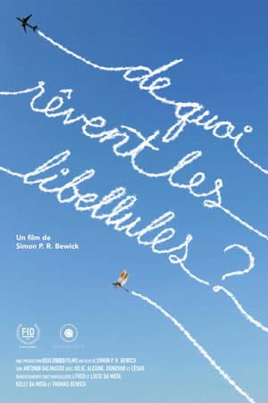 De quoi rêvent les libellules?