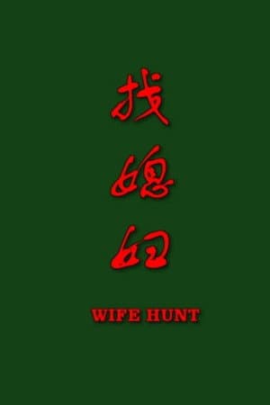 找媳妇