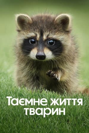 Таємне життя тварин