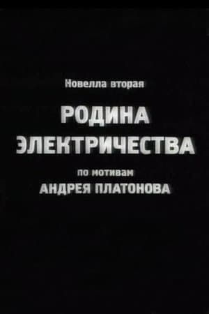 Родина электричества