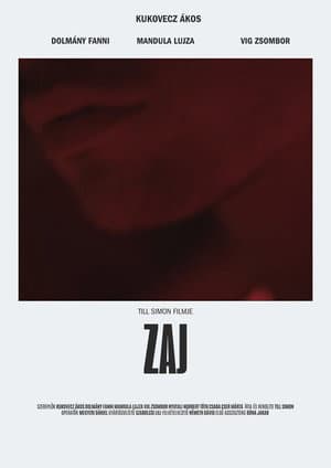 Zaj