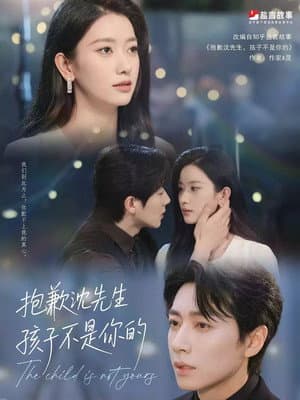 抱歉沈先生，孩子不是你的