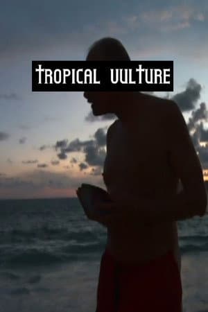 Tropical Vulture