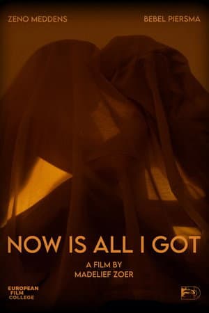 Now Is All I Got
