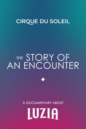 The Story Of An Encounter