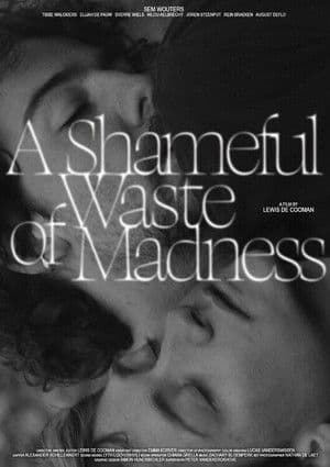 A Shameful Waste of Madness