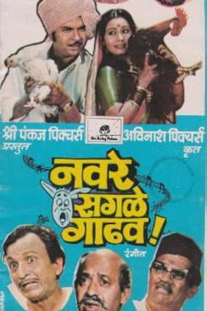 नवरे सगळे गाढव