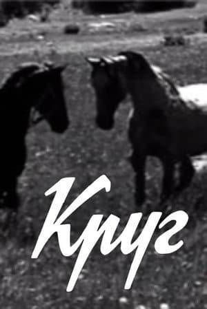 Круг