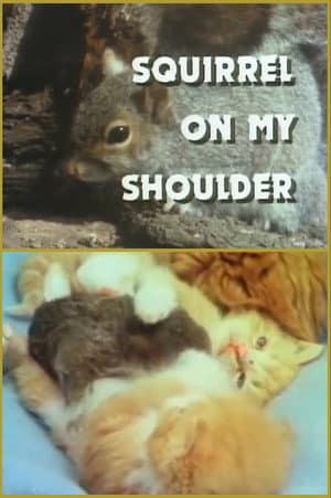 Squirrel on My Shoulder
