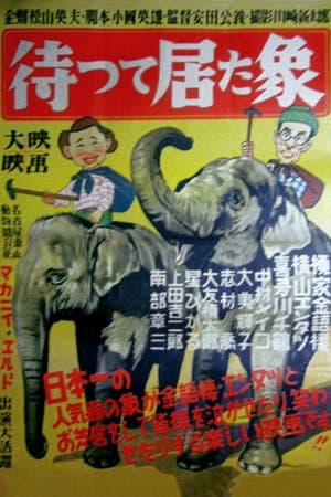 待って居た象